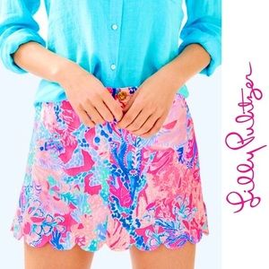 NWT Lilly Pilutzer Skort